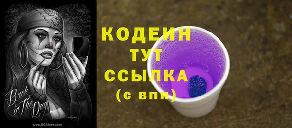 молекула духа Гусев