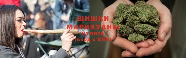 PSILOCYBIN Гусиноозёрск