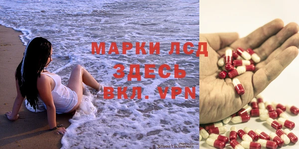 PSILOCYBIN Дмитриев
