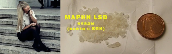 PSILOCYBIN Дмитриев