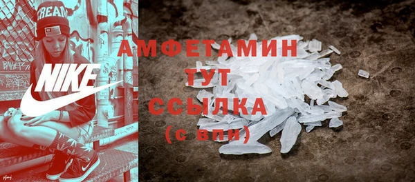молекула духа Гусев