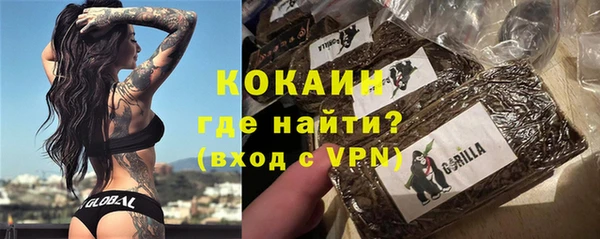 PSILOCYBIN Гусиноозёрск