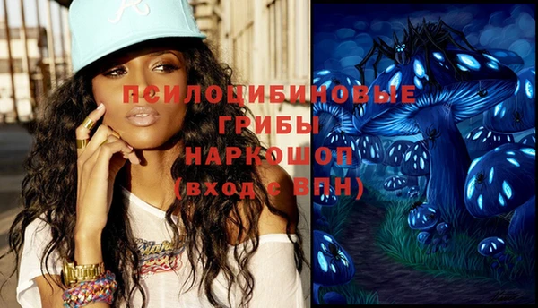 ешки Гусь-Хрустальный